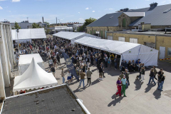 Brewskival2025_Flindt-669-compressed