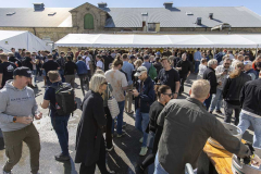 Brewskival2025_Flindt-676-compressed