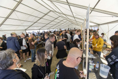 Brewskival2025_Flindt-681-compressed