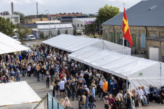 Brewskival2026_Jeff_Flindt-278-stor