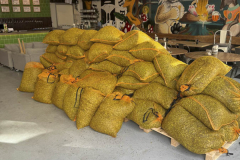 bryggning1-compressed bryggning1-compressed